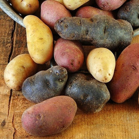 Warm Potato Salad With Wasabi Oil