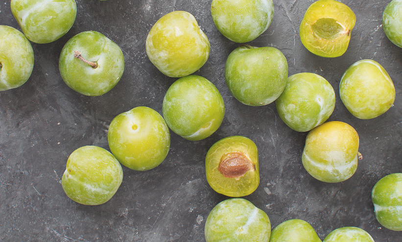 Kakadu Plum Extract