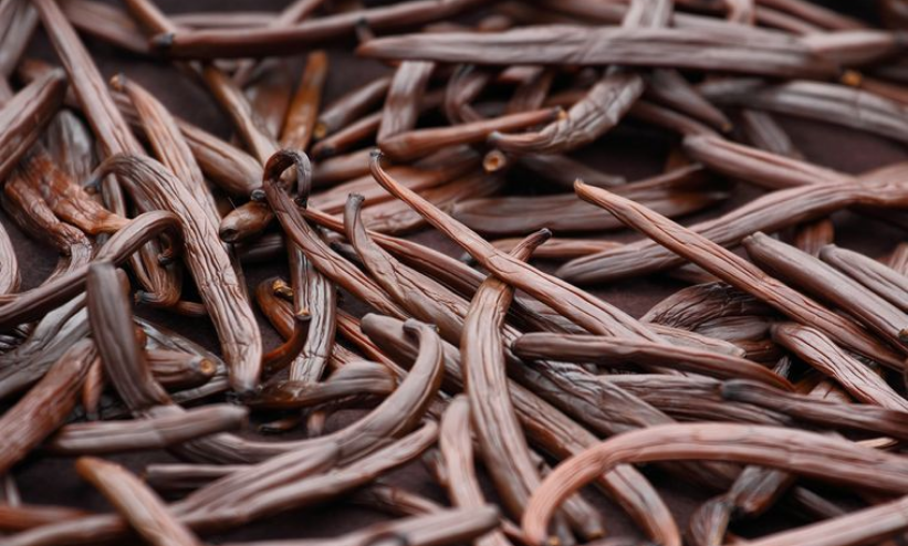 Vanilla Essence Extract